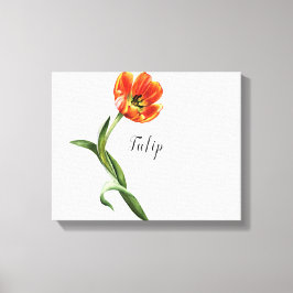 Oranje Tulp Watercolor Canvasprint Canvas Afdruk