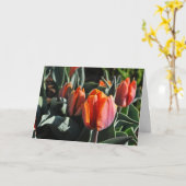 Oranje tulpen 1 kaart (Gele Bloem)