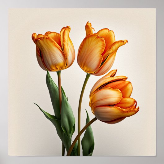 Oranje Tulpen Bloemenkunst Print Poster (Voorkant)