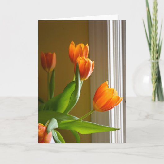 Oranje tulpen | Brad Hines Fotografie Notecard Kaart (Voorkant)