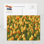 Oranje Tulpen Briefkaart (Voorkant / Achterkant)