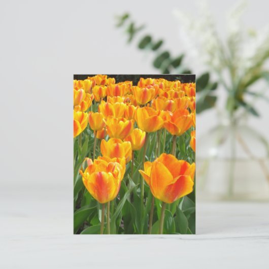 Oranje Tulpen Briefkaart (Staand voorkant)