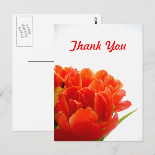 Oranje Tulpen Dank u Briefkaarten (Voorkant / Achterkant)