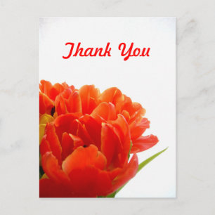 Oranje Tulpen Dank u Briefkaarten