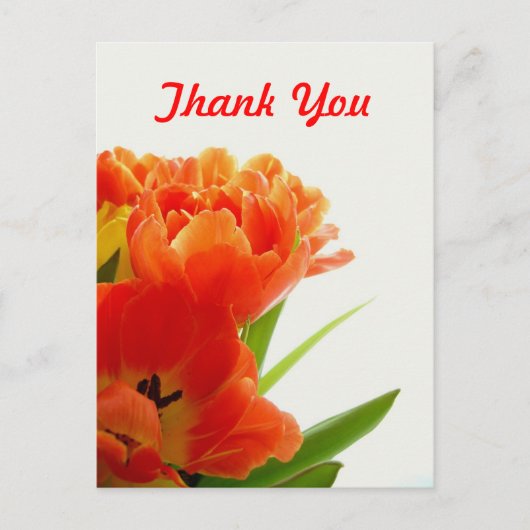 Oranje Tulpen Dank u Briefkaarten (Voorkant)