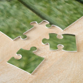 Oranje Tulpen, Elizabeth Park Gardens Hartford CT Legpuzzel (Zijkant)