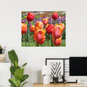 Oranje Tulpen, Elizabeth Park Gardens Hartford CT Poster (Thuiskantoor)