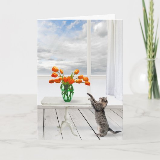 Oranje Tulpen en Kaart met kattenbakken (Voorkant)