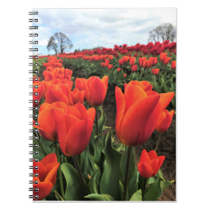 Oranje Tulpen in een veld, Oregon Notitieboek