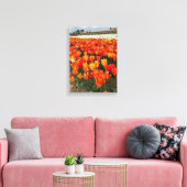 Oranje tulpen in het veld, Woodburn, OR Canvas Afdruk (Insitu (Woonkamer))