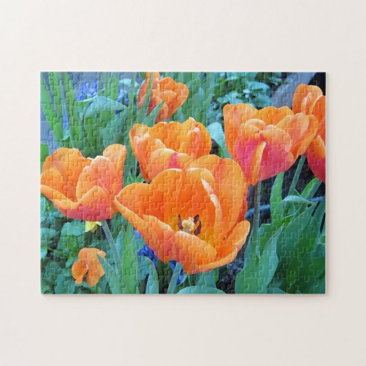 Oranje Tulpen Legpuzzel (Horizontaal)
