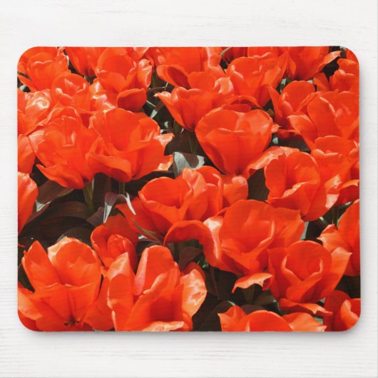Oranje tulpen muismat (Voorkant)
