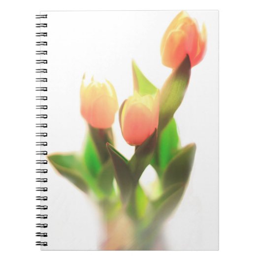 Oranje Tulpen Notitieboek (Voorkant)