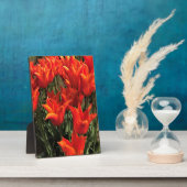 Oranje Tulpen, Oregon Fotoplaat (Zijkant)