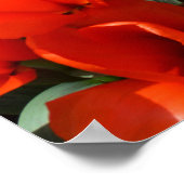 Oranje tulpen poster (Hoek)