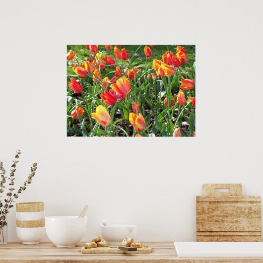 Oranje Tulpen Poster (Keuken)