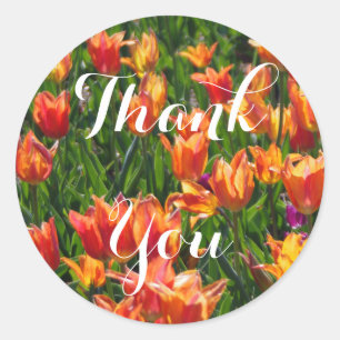 Oranje Tulpen Ronde Sticker