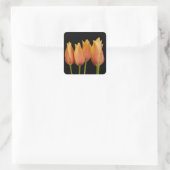 Oranje Tulpen Stickers (Tas)