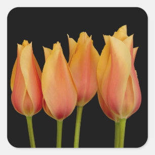 Oranje Tulpen Stickers