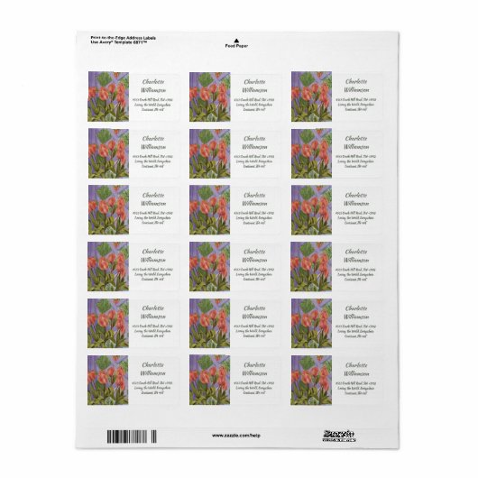 Oranje tulpenbloemen in Waterverf Adres Etiket (Full Sheet)