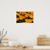 Oranje Tulpenbloemen Poster (Keuken)