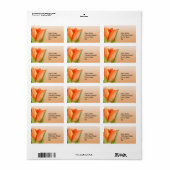 Oranje tulpenlabels etiket (Full Sheet)
