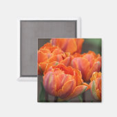 Oranje tulpenmagneet magneet (Voorkant / Achterkant)
