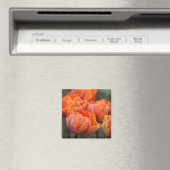 Oranje tulpenmagneet magneet (Insitu (Vaatwasser))