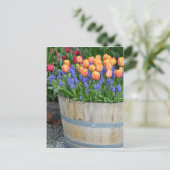 Oranje tulpenplankafdruk briefkaart (Staand voorkant)