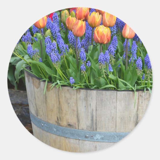 Oranje tulpenplankafdruk ronde sticker (Voorkant)
