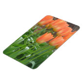 Oranje tulpentuin magneet (Linkerzijde)