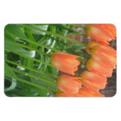 Oranje tulpentuin magneet (Horizontaal)