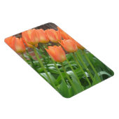 Oranje tulpentuin magneet (Rechterzijde)