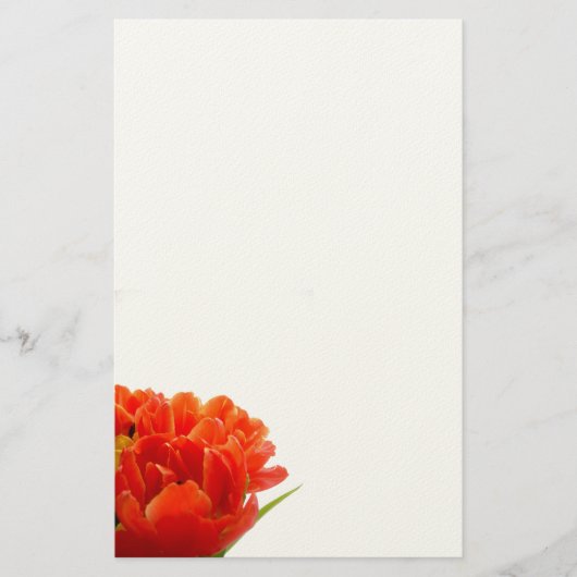 Oranje Tulps Briefpapier (Voorkant)