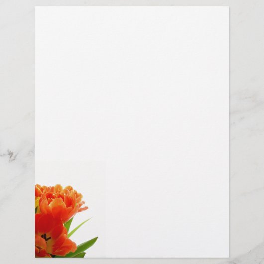Oranje Tulps Letterhead (Voorkant)