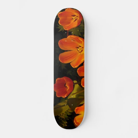 Oranje Tulps Skateboard (Voorkant)