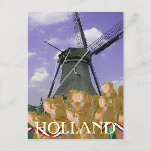 Oranje Tulps Windmill Art Holland Briefkaart