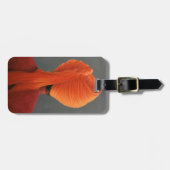 Oranje Turban Bagagelabel (Voorkant horizontaal)