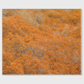 Oranje uitzicht. Oranje bladachtergrond. herfst Cadeaupapier (Vlak)