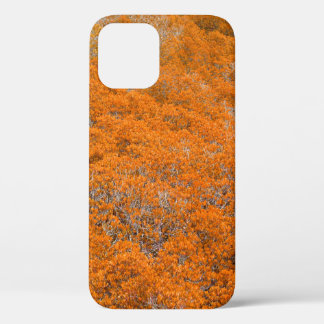 Oranje uitzicht. Oranje bladachtergrond. herfst Case-Mate iPhone Case