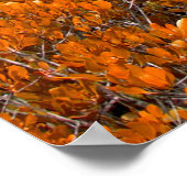 Oranje uitzicht. Oranje bladachtergrond. herfst Poster (Hoek)