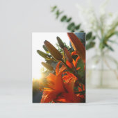 Oranje Un Bloomed Briefkaart (Staand voorkant)