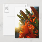 Oranje Un Bloomed Briefkaart (Voorkant / Achterkant)