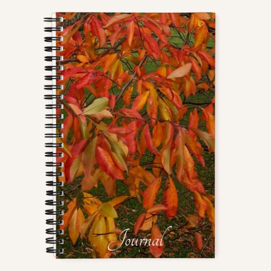 Oranje urveherfst bladeren botanisch notitieboek (Voorkant)