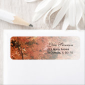 Oranje val laat retour adreslabels achter etiket (Insitu)