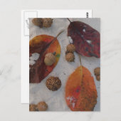 Oranje valbladeren en zuren briefkaart (Voorkant / Achterkant)