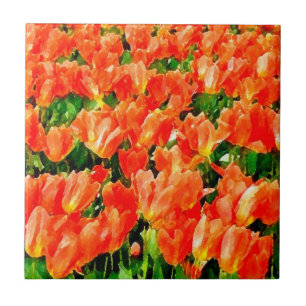 Oranje veld van tulpen tegeltje