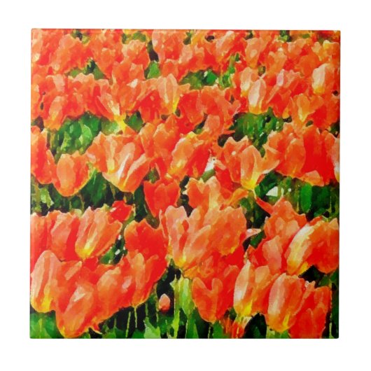 Oranje veld van tulpen tegeltje (Voorkant)