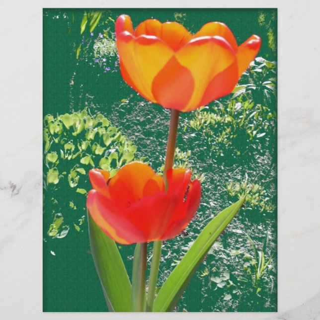 Oranje ventilator (Voorkant)