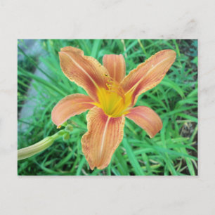 Oranje ventilator 2 briefkaart